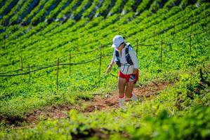 BIB: 
                            <button type="button" onclick="openModal(19162007)" class="btn btn-primary btn-sm float-right btn-popup" data-toggle="modal" data-target=".modal-high-quality">
                        <i class="fas fa-shopping-cart"></i> Add to Cart
                    </button>
                                            <button type="button" onclick="isThisMe(19162007, true)" class="btn btn-success btn-sm float-right btn-popup btn-isme hidden" data-toggle="tooltip" data-placement="bottom" title="นี่คือรูปของคุณใช่ไหม คลิกที่นี่เพื่อเอาเข้าอัลบั้ม">
                        <i class="fas fa-plus"></i> Add to album
                    </button>
                    <button type="button" onclick="isThisMe(19162007, false)" class="btn btn-warning btn-sm float-right btn-popup btn-isnotme hidden">
                        <i class="fas fa-ban"></i> Remove from album
                    </button>